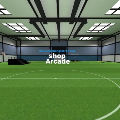 Arena Image