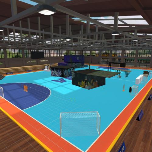 Arena Image