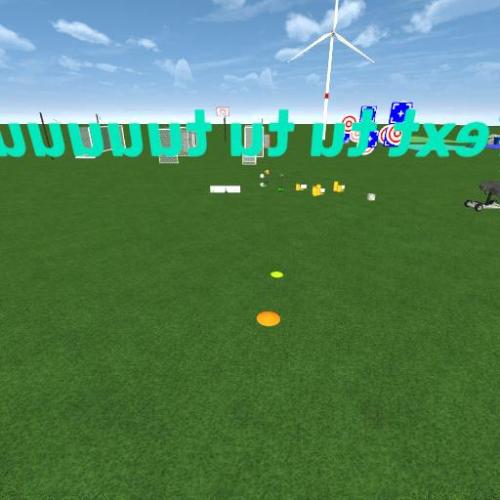 Arena Image