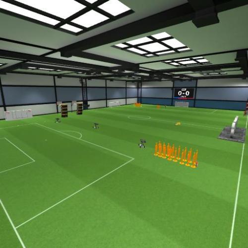 Arena Image