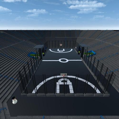 Arena Image