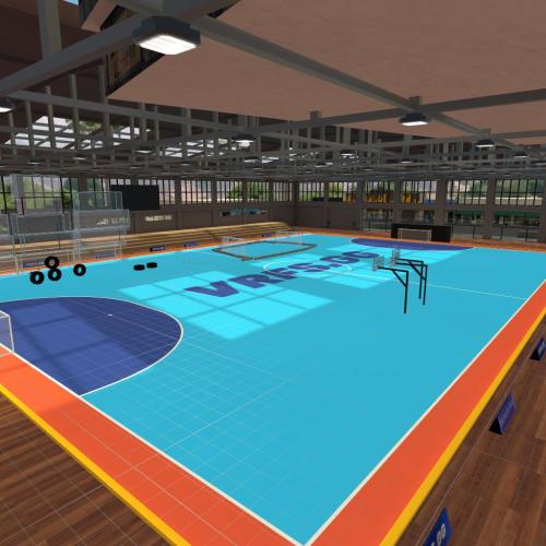 Arena Image