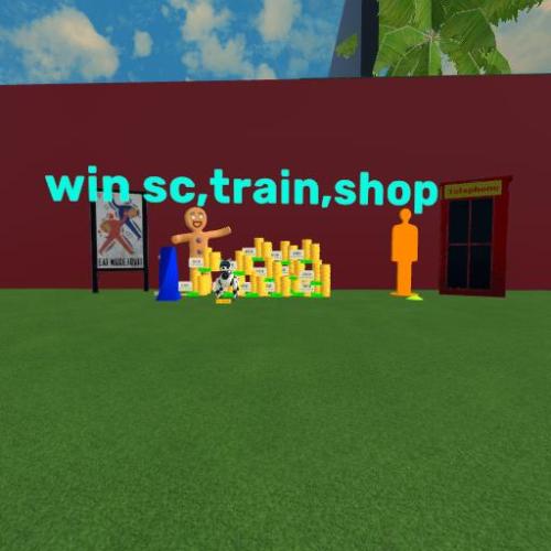 Arena Image