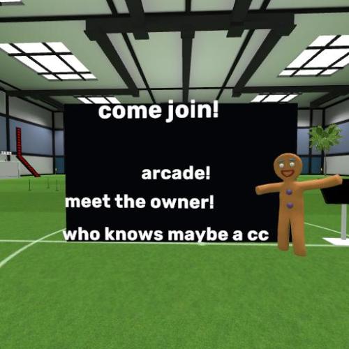 Arena Image