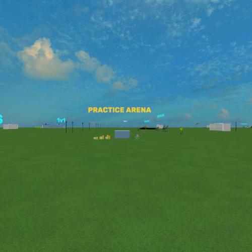Arena Image