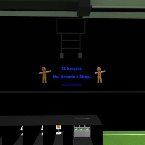 Arena Image