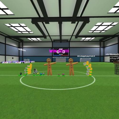 Arena Image