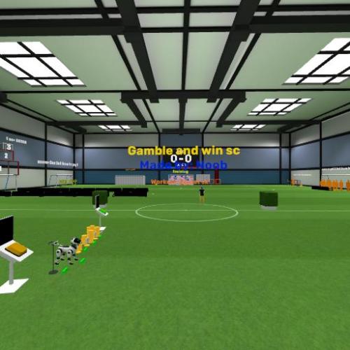 Arena Image