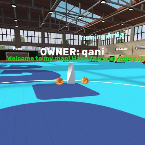Arena Image