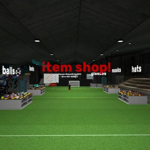 Arena Image