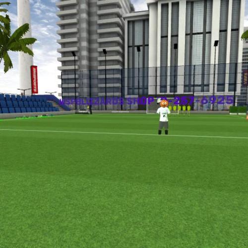 Arena Image