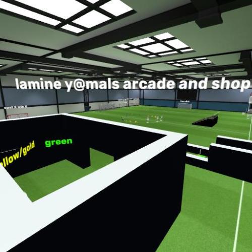 Arena Image