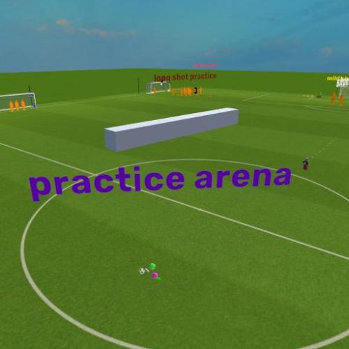 Arena Image