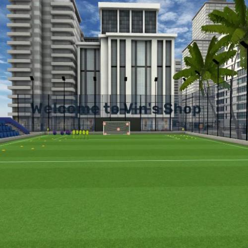 Arena Image