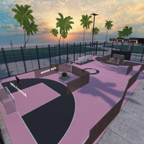 Arena Image