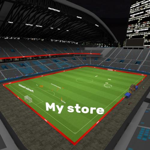 Arena Image