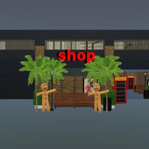 Arena Image