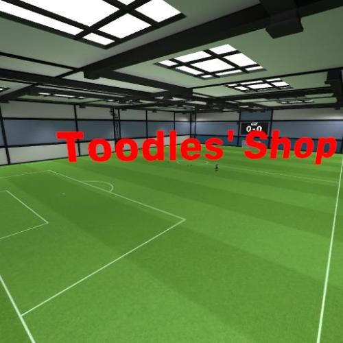 Arena Image