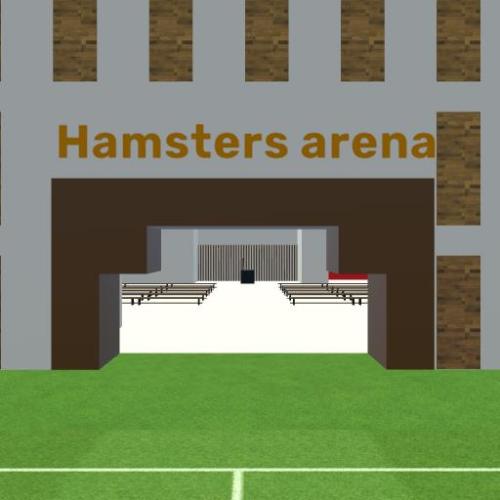 Arena Image