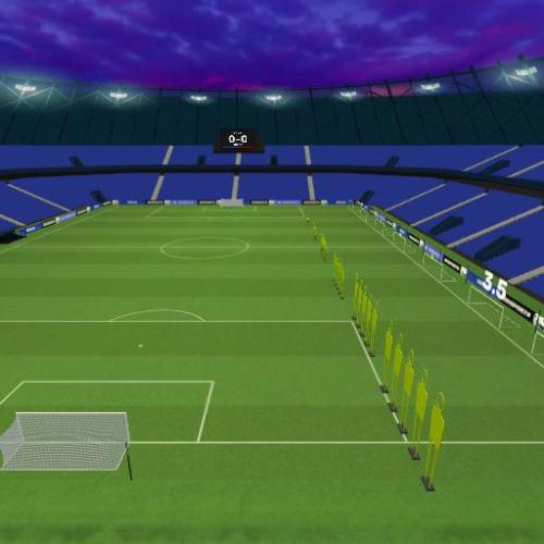 Arena Image