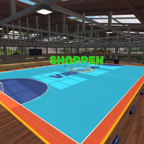 Arena Image