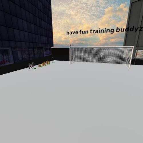 Arena Image