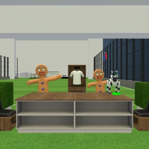 Arena Image