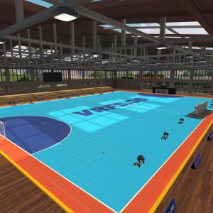 Arena Image
