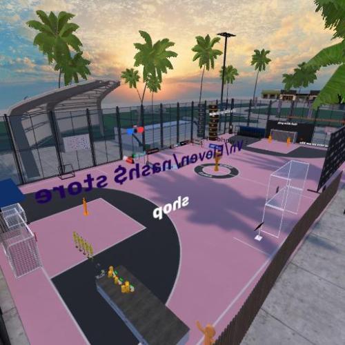 Arena Image