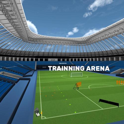 Arena Image