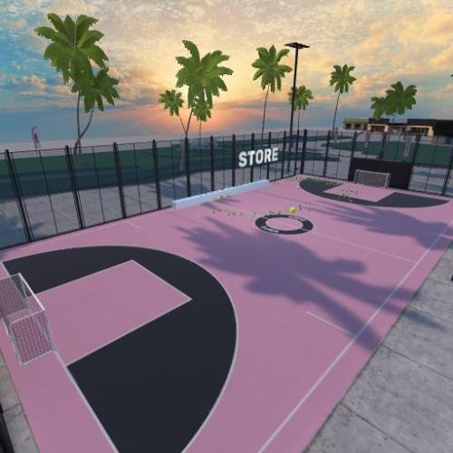 Arena Image