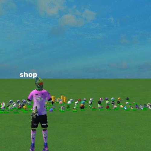 Arena Image