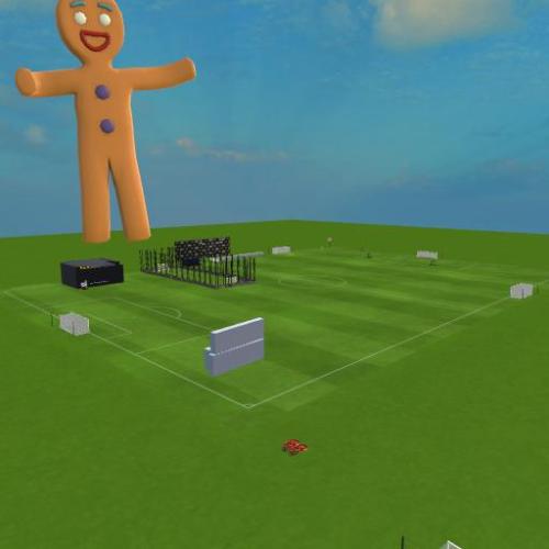 Arena Image