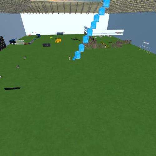 Arena Image