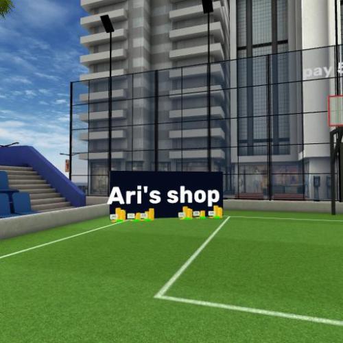 Arena Image