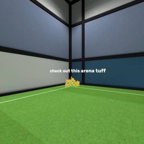 Arena Image