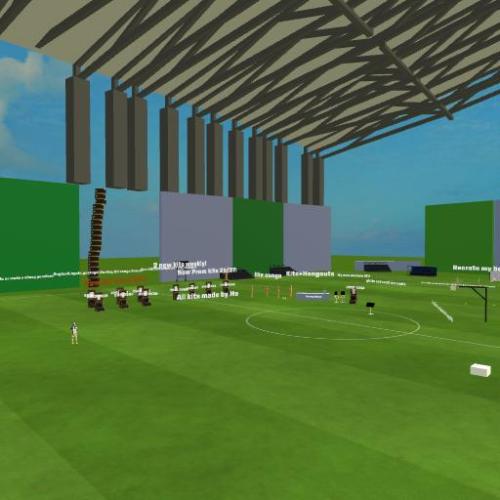 Arena Image