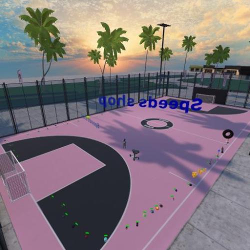 Arena Image
