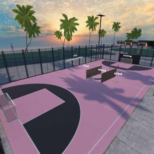 Arena Image