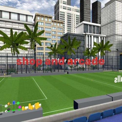 Arena Image