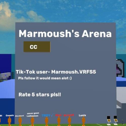 Arena Image