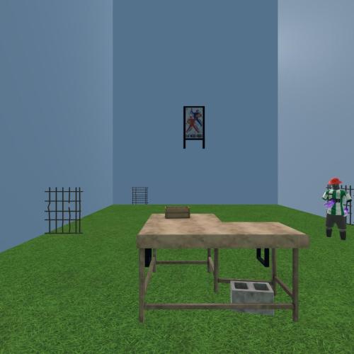 Arena Image