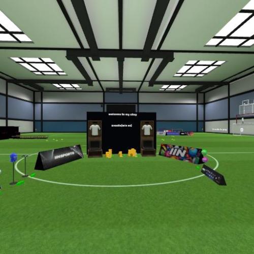 Arena Image