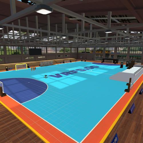 Arena Image