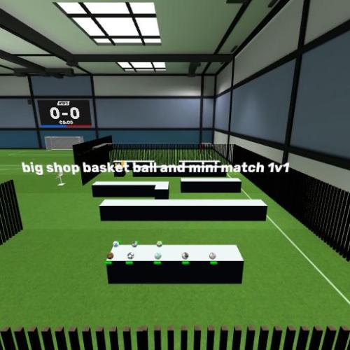 Arena Image