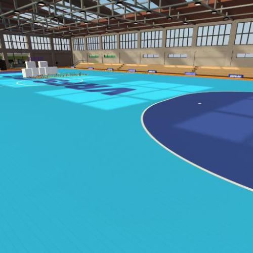 Arena Image