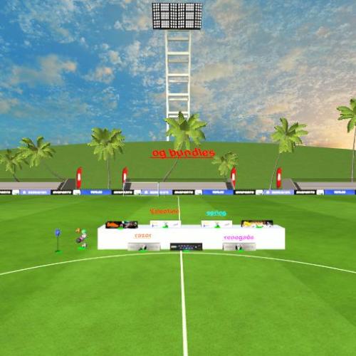 Arena Image