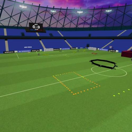 Arena Image