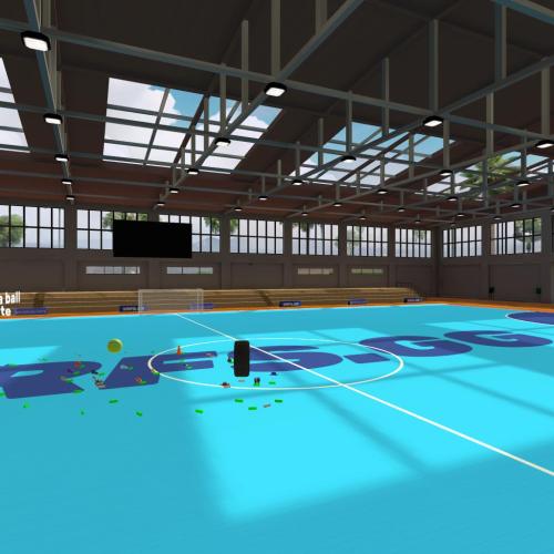Arena Image