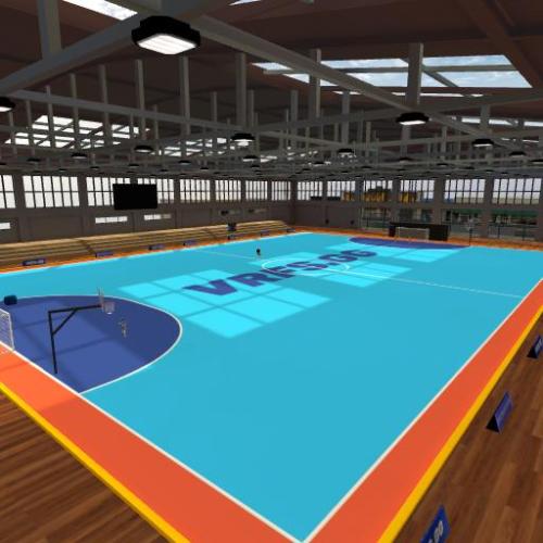 Arena Image